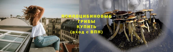скорость mdpv Богородицк