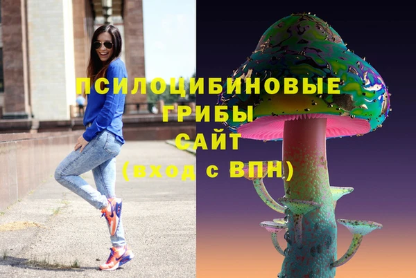 эйфоретик Богородск