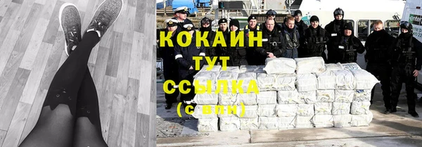 эйфоретик Богородск