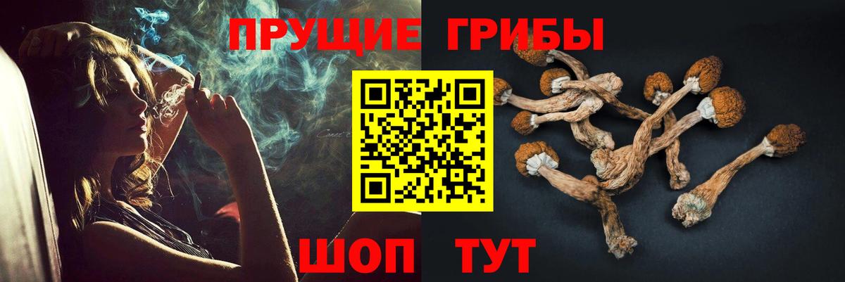Псилоцибиновые грибы Cubensis  Вход с VPN  Саяногорск 